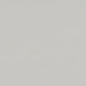 Forbo Marmoleum Sheet Solid - 3369 Titanium