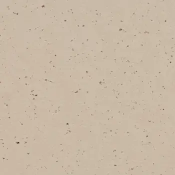 Forbo Marmoleum Sheet Solid - 3590 Meringue