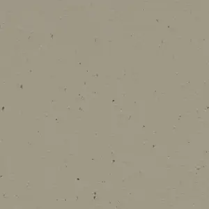 Forbo Marmoleum Sheet Solid - 3596 Hummus