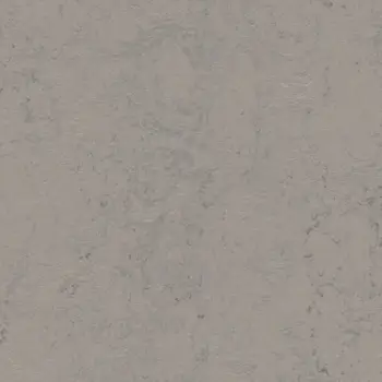 Forbo Marmoleum Sheet Solid - 3704 Satellite