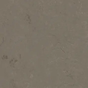 Forbo Marmoleum Sheet Solid - 3705 Meteorite