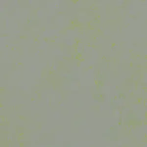 Forbo Marmoleum Sheet Solid - 3736 Green Shimmer