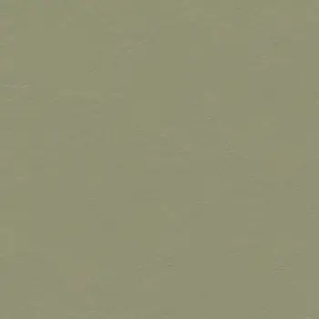 Forbo Marmoleum Solid All Colors - 3355 Rosemary Green