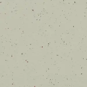 Forbo Marmoleum Solid All Colors - 3585 Stracciatella