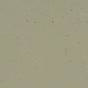 Forbo Marmoleum Solid All Colors - 3593 Matcha
