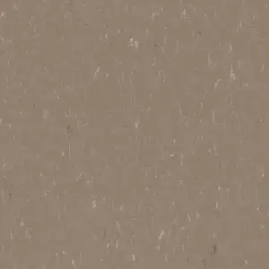 Forbo Marmoleum Solid All Colors - 3631 Otter