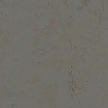 Forbo Marmoleum Solid All Colors - 3703 Comet
