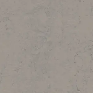 Forbo Marmoleum Solid All Colors - 3704 Satellite