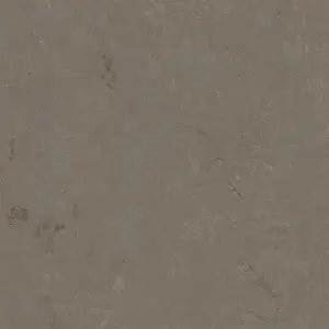 Forbo Marmoleum Solid All Colors - 3705 Meteorite