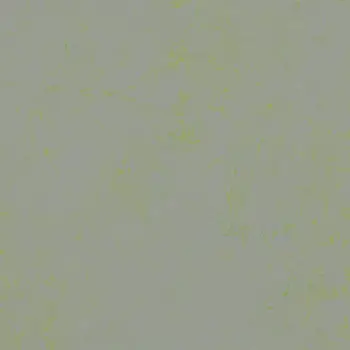 Forbo Marmoleum Solid All Colors - 3736 Green Shimmer