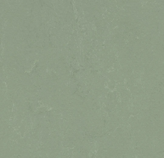 Forbo Marmoleum Solid All Colors - 3750 Pine Forest