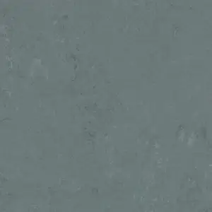 Forbo Marmoleum Solid All Colors - 3756 Neptune