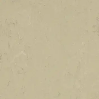 Forbo Marmoleum Solid All Colors - 3761 Titan