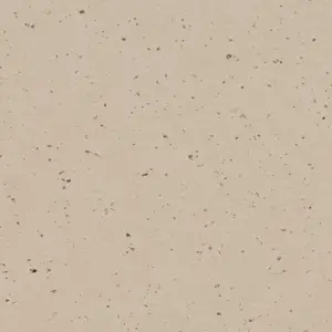 Forbo Marmoleum Solid Cocoa - 3590 Meringue