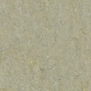 Forbo Marmoleum Terra - 5801 River Bank