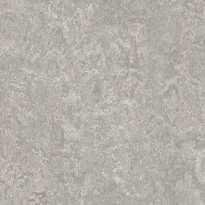 Forbo PVC Free Marmoleum Modular - T3216 Moraine