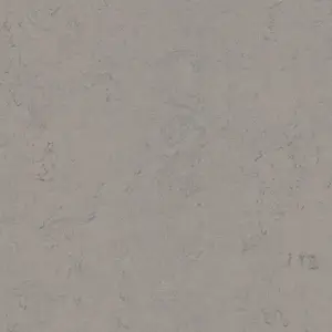 Forbo PVC Free Marmoleum Modular - T3704 Satellite