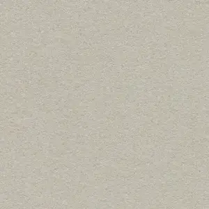 Forbo Solutions Bulletin Board - 2206 Oyster Shell