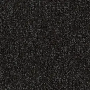 Forbo Transport Flooring Rail - 4730FR Raven Black