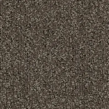 Forbo Transport Flooring Rail - 4764FR Taupe