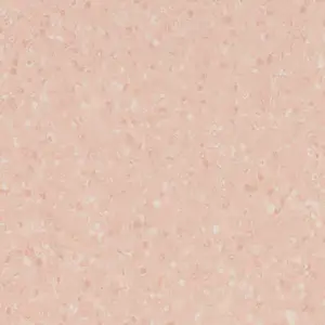Forbo Vinyl Sphera Element - 51073 Contrast Peach