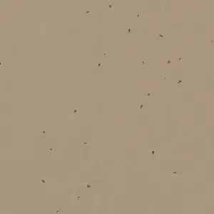 Forbo Vinyl Sphera Energetic - 50209 Nutmeg