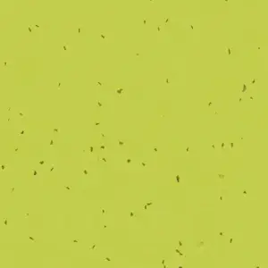 Forbo Vinyl Sphera Energetic - 50214 Lime