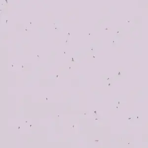 Forbo Vinyl Sphera Energetic - 50234 Lilac