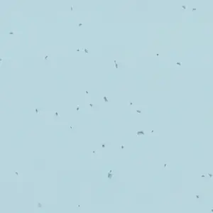 Forbo Vinyl Sphera Energetic - 50239 Ice
