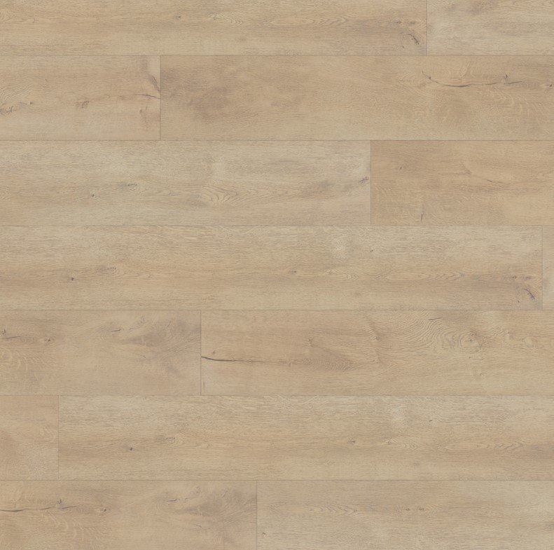 Gaelic Xtra 8085 - Gallo Xtra collection-petun-flooring-store-kitchener-waterloo-region