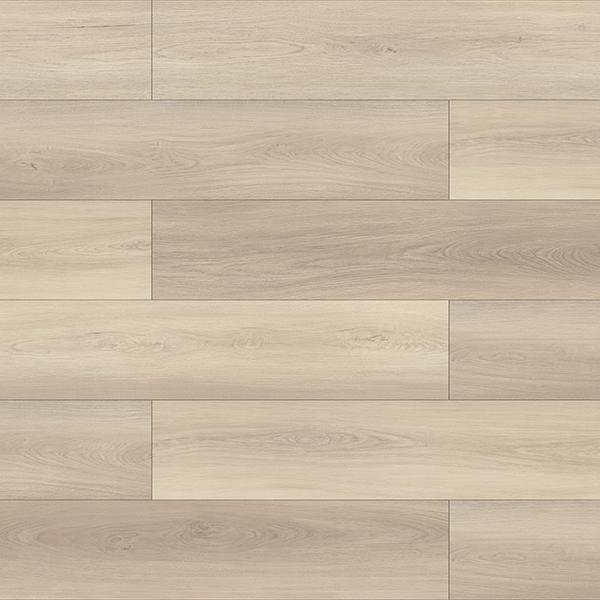 Medora Accord Premium Collection Richmond Laminate