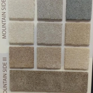 Mountain Side I Brookside Carpets 37 Oz BCF Nylon