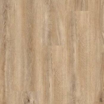Seahorse- Atlantis collection-petun-flooring-store-kitchener-waterloo-region