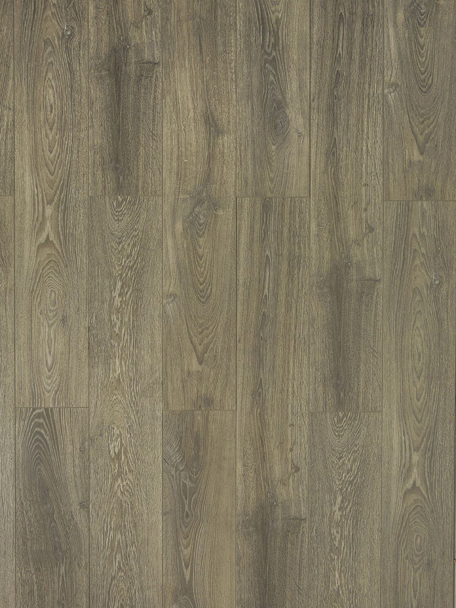 TF6003 Toucan Embossed Laminate