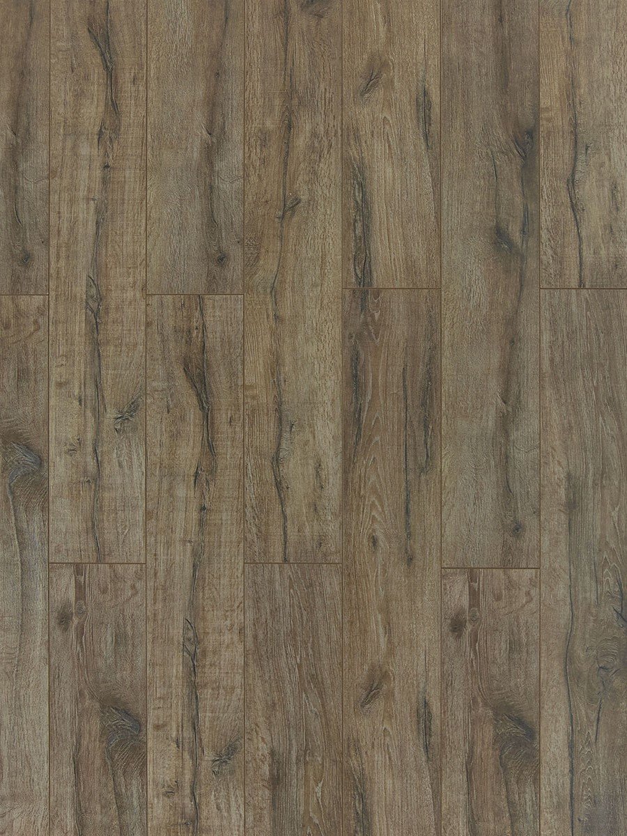 TF6005 Toucan Embossed Laminate