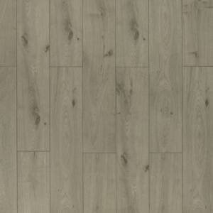 TF6019 Toucan Embossed Laminate