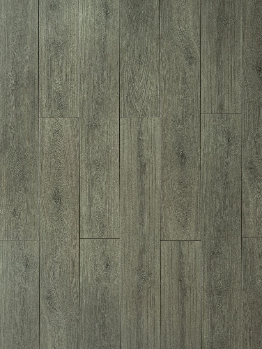 TF6309 Toucan Embossed Laminate