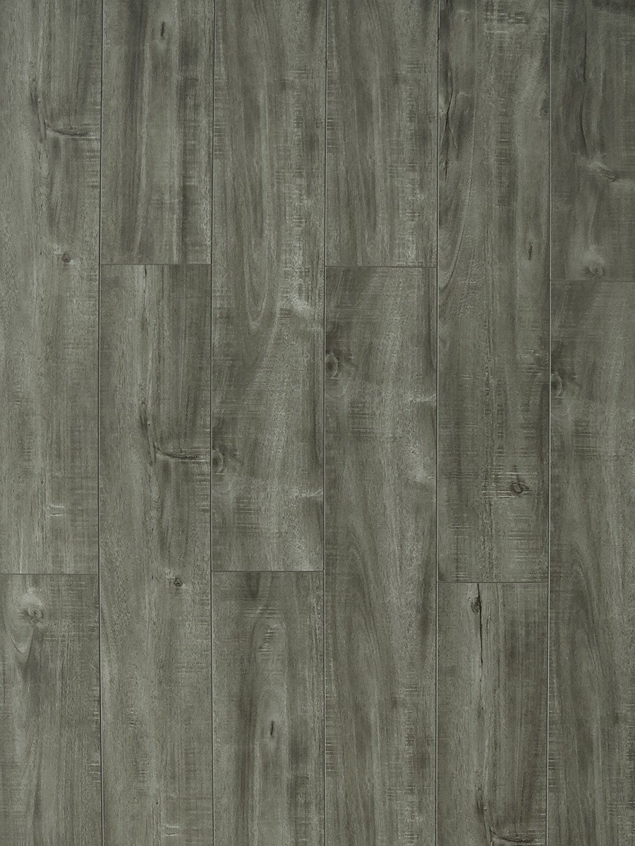 TF6313 Toucan Embossed Laminate