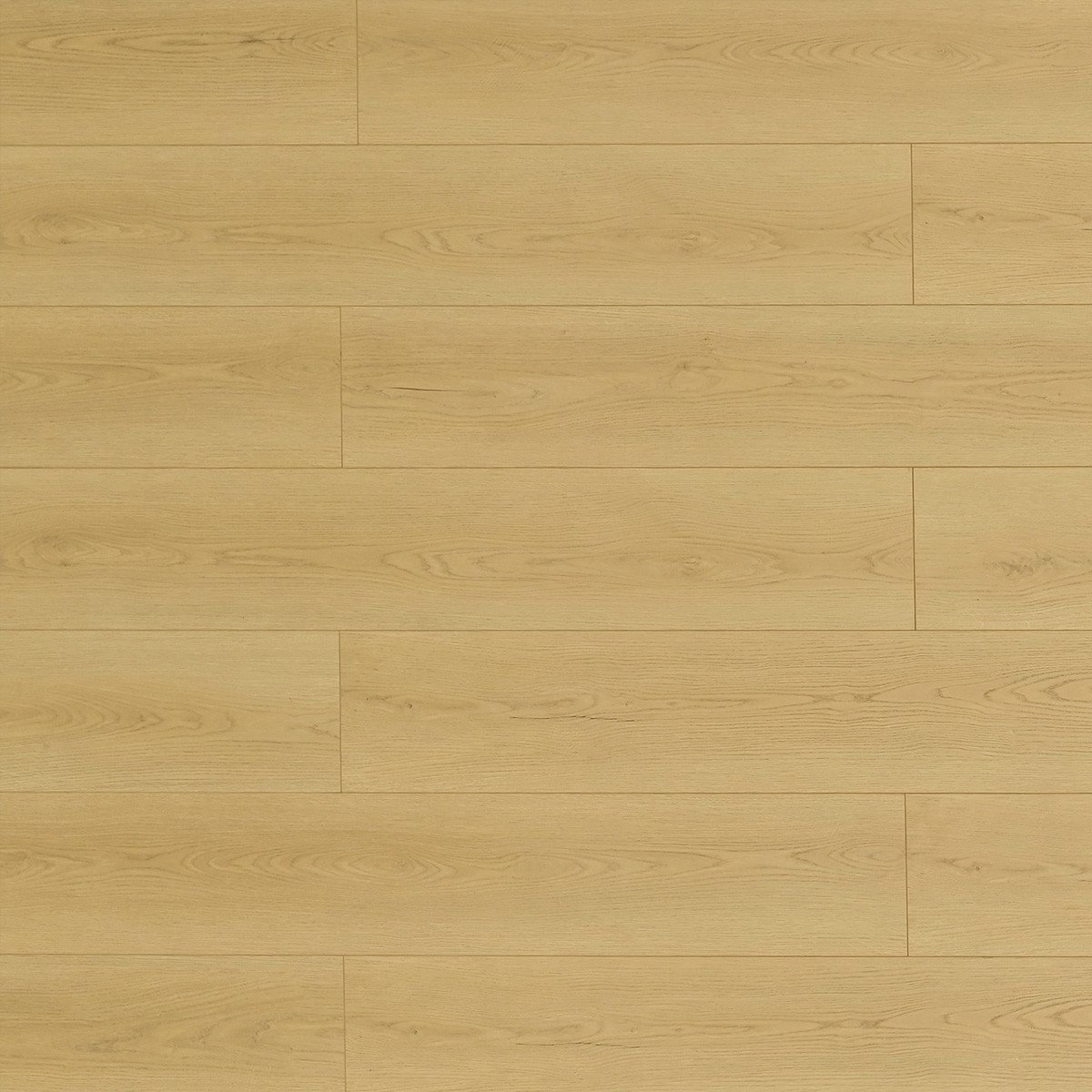 TF8107-muscatine-toucan-72-hours-water-resistant-laminate-petun-flooring-store-kitchener-waterloo-reigon