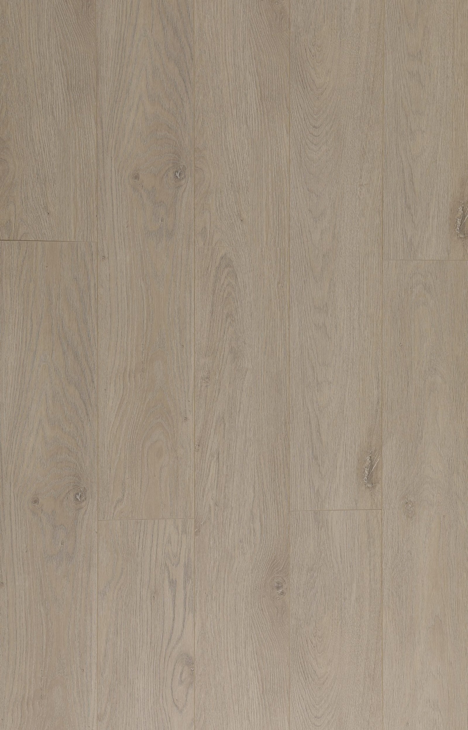 banwell-purelux-betten-series-laminate-flooring-with-attached-underlay