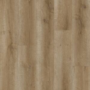 Inhaus Sono Eclipse Collection - Canim Oak 53448