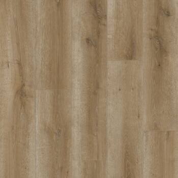 Inhaus Sono Eclipse Collection - Canim Oak 53448
