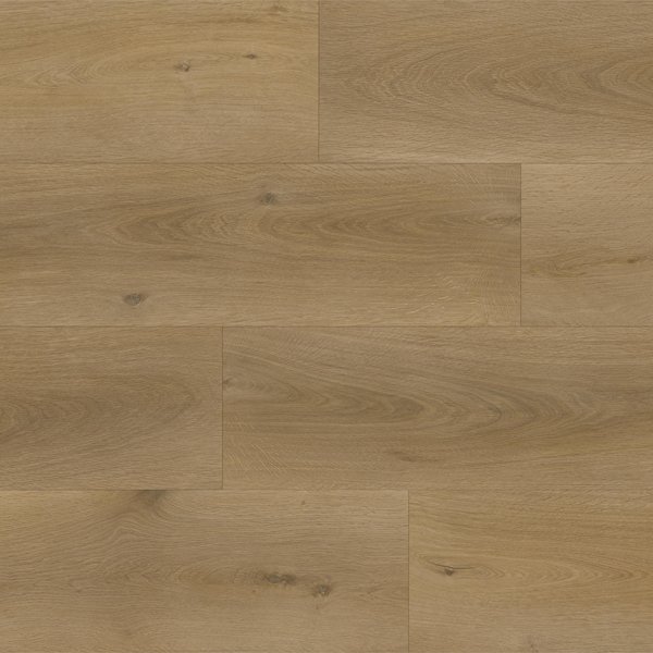 champagne-richmond-flooring-synergy-premium-xl-collection-petun-flooring-store-kitchener-waterloo-region