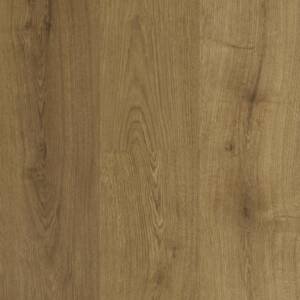 classic-oak-587-203-next-floor-stonecast-botinica-587-petun-flooring-store-in-kitchener-waterloo-region