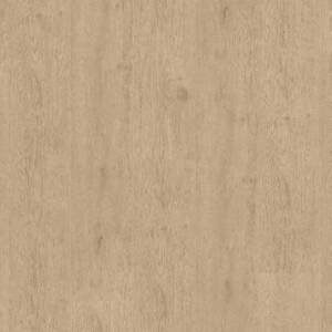 elgon-grandeur-flooring-xxl-collection-ac6-made-in-europe-petun-flooring-store-in-kitchener-waterloo-region
