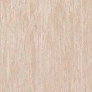 Light Beige 0479 Tarkett Standard Plus (2.0 mm)