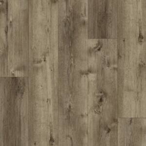 misty-moor-fuzion-flooring-dynamix-xl-3dge-collection-petun-flooring-store-in-kitchener-waterloo-region