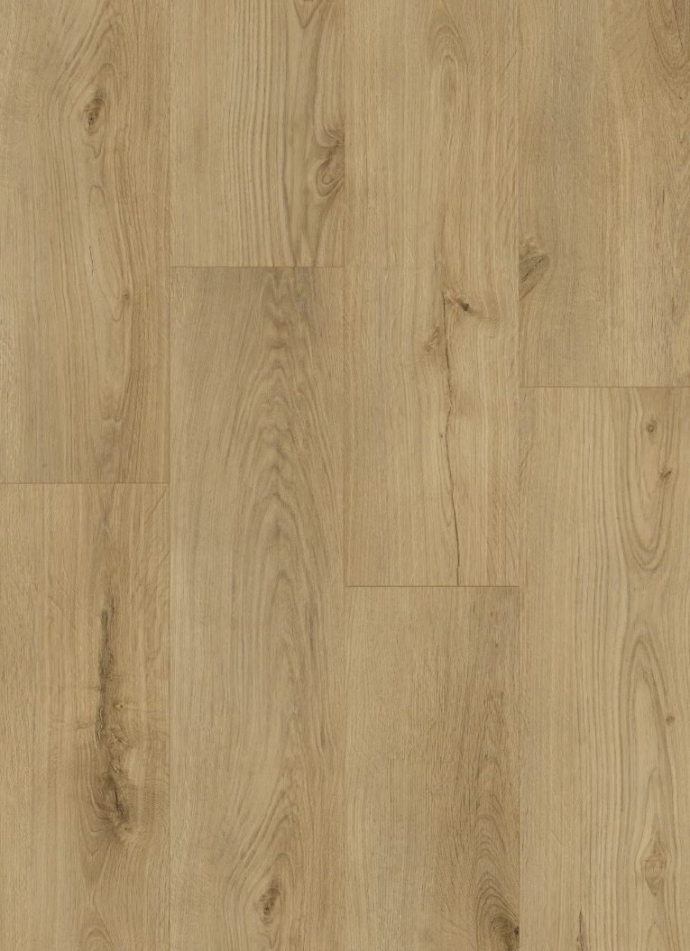 rancher's-front-fuzion-flooring-dynamix-lone-star-collection-petun-flooring-store-in-kitchener-waterloo-region