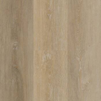 sandy-shore-425-305-next-floor-marvelous-plus-425-collection-glue-down-vinyl-petun-flooring-store-in-Kitchener-Waterloo-Region