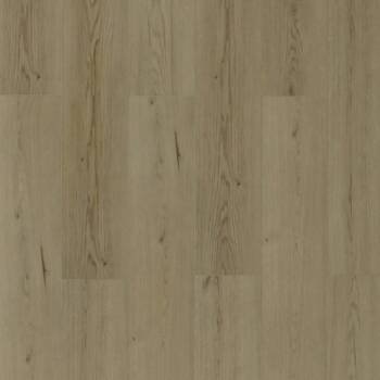 Toucan TFL62 Series - TFL625 Whistler Pine